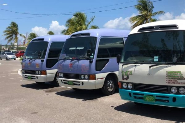 Round Island bus tour