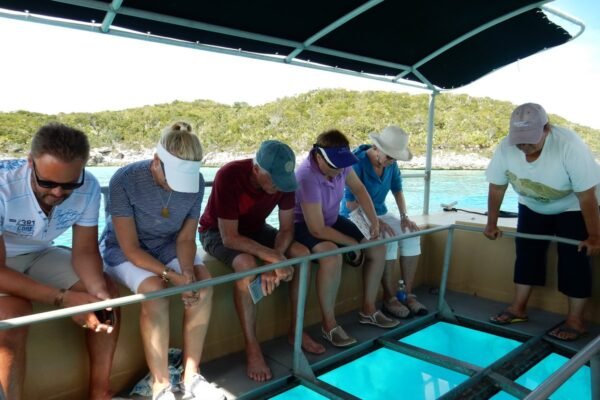 Glass Bottom Boat Tour