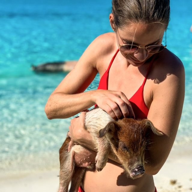 Swimming with the pigs